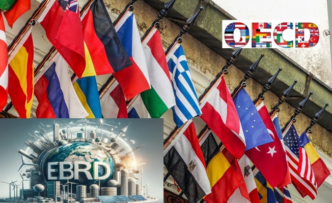Türkiye'nin 2024 büyüme öngörüsünü OECD yüzde 3,2'ye düşürdü, EBRD yüzde 2,7'de tuttu