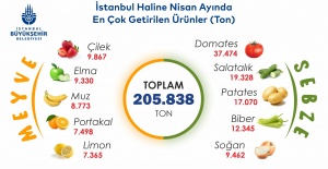 BAHAR AYINDA ÇİLEK VE DOMATES ZİRVEDE